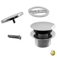 thumbnail image 1 of Westbrass D398RK-01 Ensemble de Garniture de Pointe de Champignon Rond - Laiton Poli PVD, 1 of 1