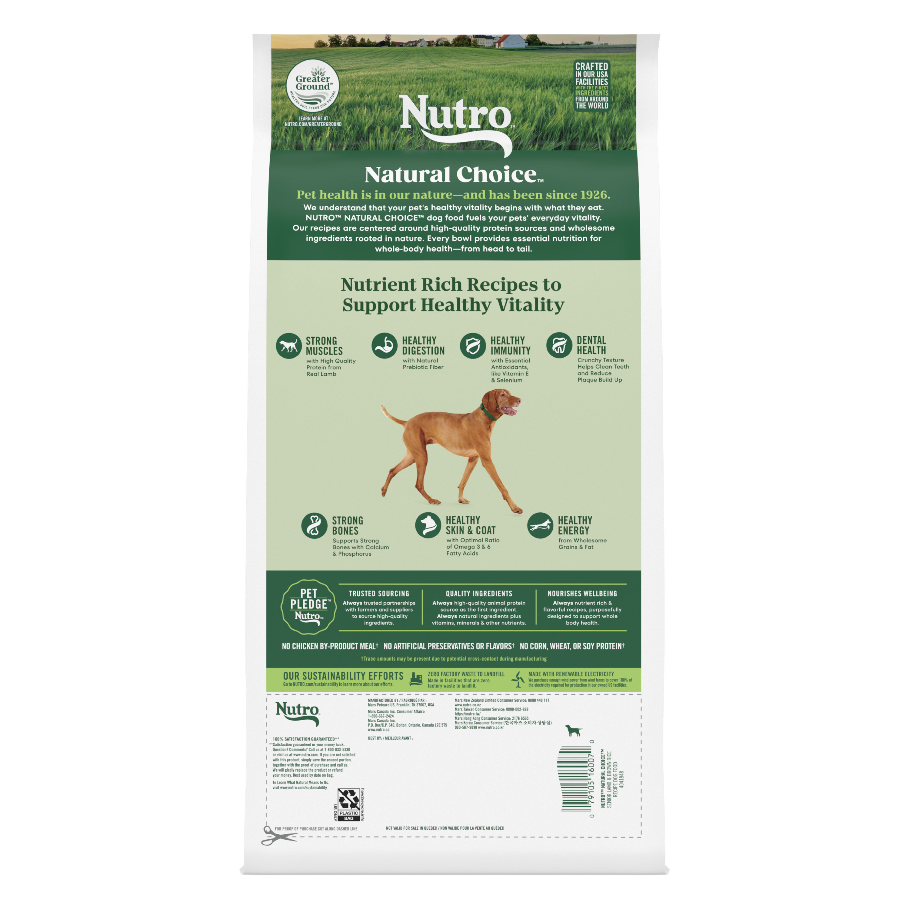 Nutro Natural Choice Adult Dog Food Dry Recipe Salmon & Brown Rice, 4.5 Lb Bag