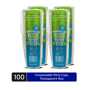 EcoSoul Compostable Plant Based 16 Oz Transparent Party Cups, 100 Count