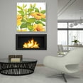 thumbnail image 6 of Epic Art 'Watercolor Hibiscus II' by Tim O'Toole, Acrylic Glass Wall Art, 36"x36", 6 of 6