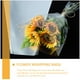 thumbnail image 4 of unbranded 50Ud Bolsas Convenientes Transparentes Para Empaque De Ramos, 4 of 8