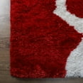 Rugsotic Carpets Hand Tufted Shag, Contemporary Polyester Floor Area