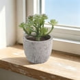 thumbnail image 5 of MMJ Artificial Potted Plants Faux Plants Small Plastic White Planter Tabletop Desk Home Office Decor 2.76x2.68x2.68in, 5 of 6