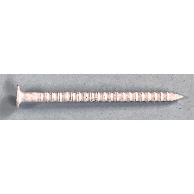 Ring Shank Stainless Steel Trim Nails Box, White - 0.24 lbs