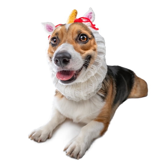 Zoo Snoods Unicorn Costume - Warm Knit Rainbow Dog Snood Ear Wrap for Pets, Warm Neck Ear Cover Protection (Medium)