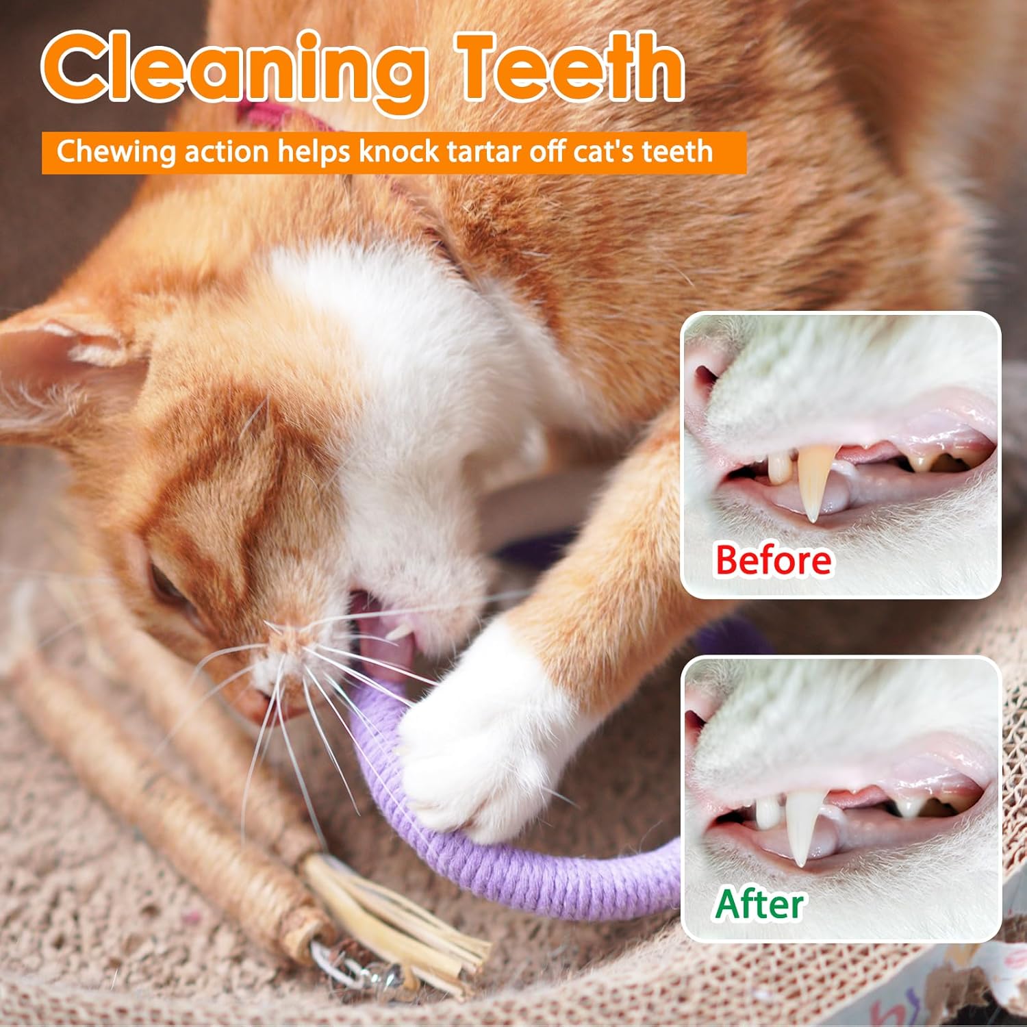 Cat Toys Silvervine Sticks - 8Pack Natural Silvervine Sticks for Cats, Cat Chew Toy for Teeth Cleaning, Interactive Kitten Chew Ropes to Redirect Chewing Habits, Kitty Chew Sticks