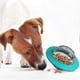thumbnail image 4 of Interactive Dog Puzzle Ball for Fun and Slow Feeding Pet Toy, 4 of 5