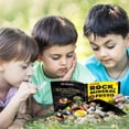 thumbnail image 6 of Piano Potato Rocks Minerals & Fossils Collection for Kids 250+ Real Gemstones and Crystals Rock Identification Kit Includes Display Case, Genuine Fossils, Geodes Great Geology, Science Gift for Boys, 6 of 8