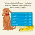 thumbnail image 5 of Country Brook Petz - Deluxe Reflective Nylon Dog Collar, 5 of 7