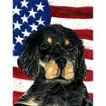 thumbnail image 1 of Caroline's Treasures American 2-Sided Polyester 15 x 11 in. Garden Flag, 1 of 7