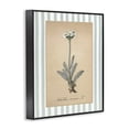 thumbnail image 3 of Stupell Industries Wild Herb with Green Stripes Black Framed Giclee Art design by Lettered and Lined, 30 x 24, 3 of 8