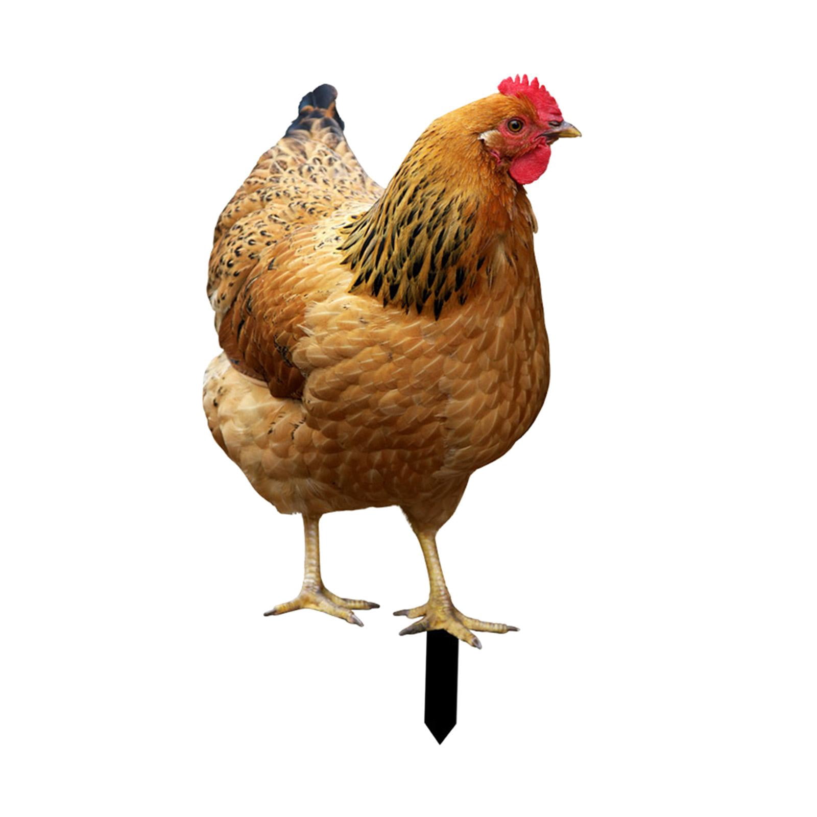 YWMJZEU Chicken Statue, Garden Stake, Animal Sculpture, Decorative Metal Chicken Figure, 31.5x17.4x0.1cm