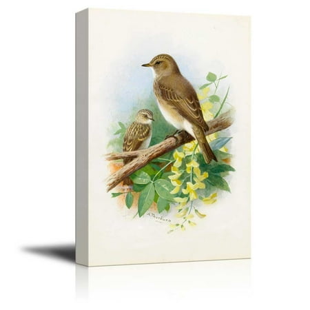 Pierced Tree - wall26 Illustration of 2 Birds Perched onto a Tree Branch - Canvas Art Home Decor - 24x36 inches