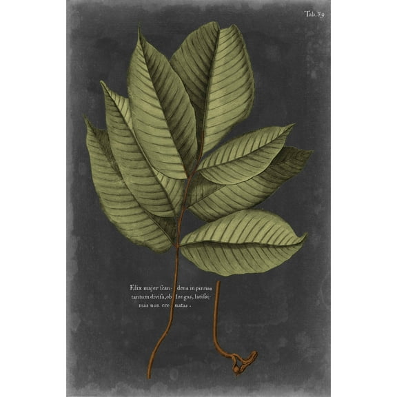 Marmont Hill "Foliage Dramatique III" Painting Print on Wrapped Canvas