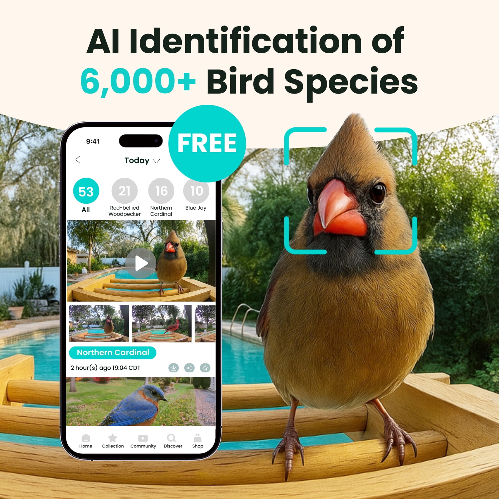 Birdfy AI Bird Feeder with Camera, Bamboo Wood Solar-Powered Bird Feeder Camera, Bird Camera with Free Lifetime AI Identification, Auto Bird Capture & Real-Time Notifications, Ideal Gift