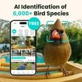 thumbnail image 4 of Birdfy AI Bird Feeder with Camera, Bamboo Wood Solar-Powered Bird Feeder Camera, Bird Camera with Free Lifetime AI Identification, Auto Bird Capture & Real-Time Notifications, Ideal Gift, 4 of 11