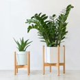 thumbnail image 3 of Lishi Mid Century Modern Bamboo Plant Stand, 3 of 5