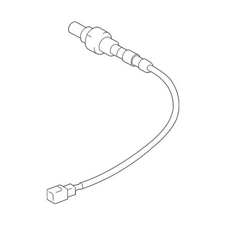 Oxygen Sensor
