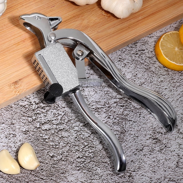 BESTYASH Triturador De Ajo Manual De Metal Con Mango Ergonómico Y Piezas Desmontables Para Cocina