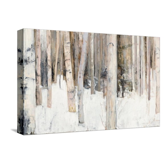 Art.com Warm Winter Light III Stretched Canvas Print Wall Art by Julia Purinton, 18" x 12"