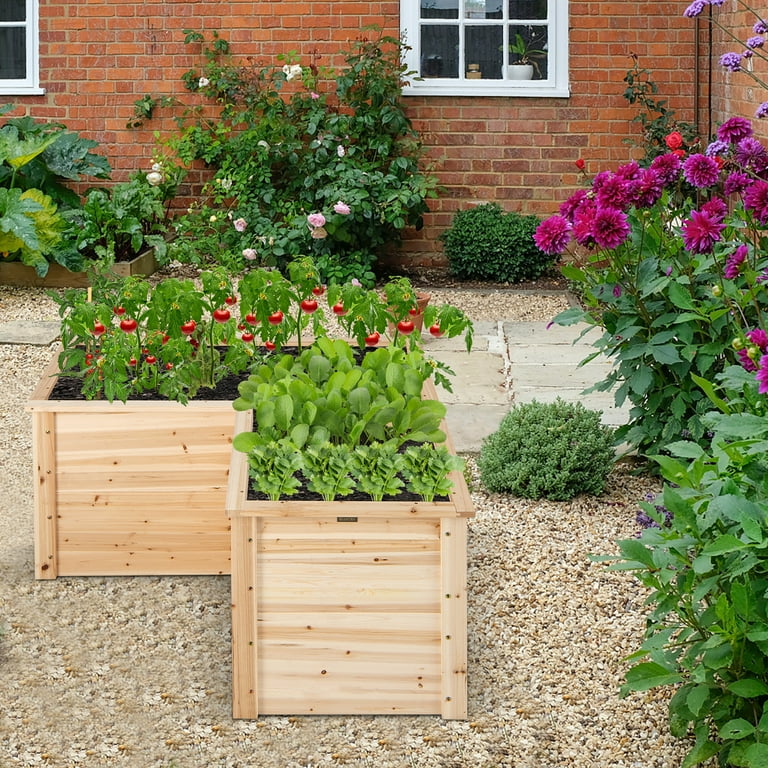 Garden 2024 planter box