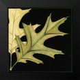 thumbnail image 2 of Goldberger, Jennifer 20x20 Black Modern Framed Museum Art Print Titled - Small Tandem Leaves III, 2 of 5