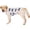 White Shark, variant on HQREA Pet Clothes Dog Summer T-Shirt Printed Breathable Dog Vest Clothes Outfit for Large Dogs