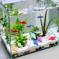 thumbnail image 5 of DVKOVI Mini Ocean Resin Animals Starfish Seashell Tiny Sea Models for Miniatures DIY Fish Tank Micro Landscaping One Size, 5 of 9