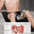 thumbnail image 3 of Thigh Master Adjustable Strength Thigh Exerciser,Inner Thigh Exercise Equipmen,Kegel Exercise Products for Women,Pelvic Floor Muscle Trainer, 3 of 5