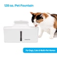 thumbnail image 1 of Pet Fountain- Automatic water fountain for dogs, cats & multi-pet homes, compact, easy to clean, filters included ShopWise Round, 1 of 6