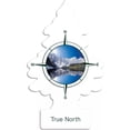 thumbnail image 1 of Paquete de 12 Ambientadores Little Trees Aroma Norte Verdadero, 1 of 7