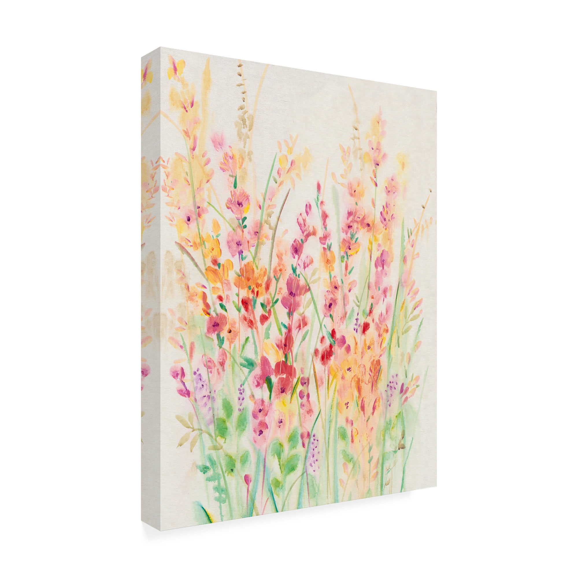 Trademark Fine Art 'Brilliant Floral I' Canvas Art by Tim OToole