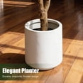 thumbnail image 5 of OLIVIVI Olive Trees Artificial Indoor, 5FT Tall Faux Olive Tree with White Tall Planter, Artificial Plants with Natural Wood Trunk and Lifelike Fruits for Home Office Decor, 5 of 10