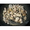 Educational Bulk Fossil Mix Variety pack - 1/2 pound