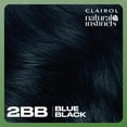 thumbnail image 6 of Clairol Natural Instincts Demi-Permanent Hair Color Creme, 2BB Blue Black, Hair Dye, 1 Application, 6 of 12