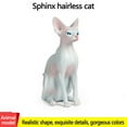 thumbnail image 2 of Modèle de Simulation de Chat Sans Poils - Figurine d'Animal Réaliste et Statique pour Jeu Éducatif et Collectionneurs, 2 of 7