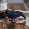 thumbnail image 3 of Decoraciones de terror Pájaros Plástico y plumas Halloween para decoración de fiestas Hugtrwg Para estrenar, 3 of 9