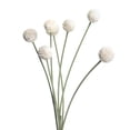 thumbnail image 2 of Ashland Billy Ball Stem, Artificial White Craspedia Pom Floral Accent, White, 26.5", 12-Pack, 2 of 3