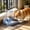 Blue#42, variant on 2-in-1 Automatic Pet Feeder and Waterer, Food Dispenser with Elevated Bowl for Cats and Small Dogs, Raised Neck Protection Feeding Station