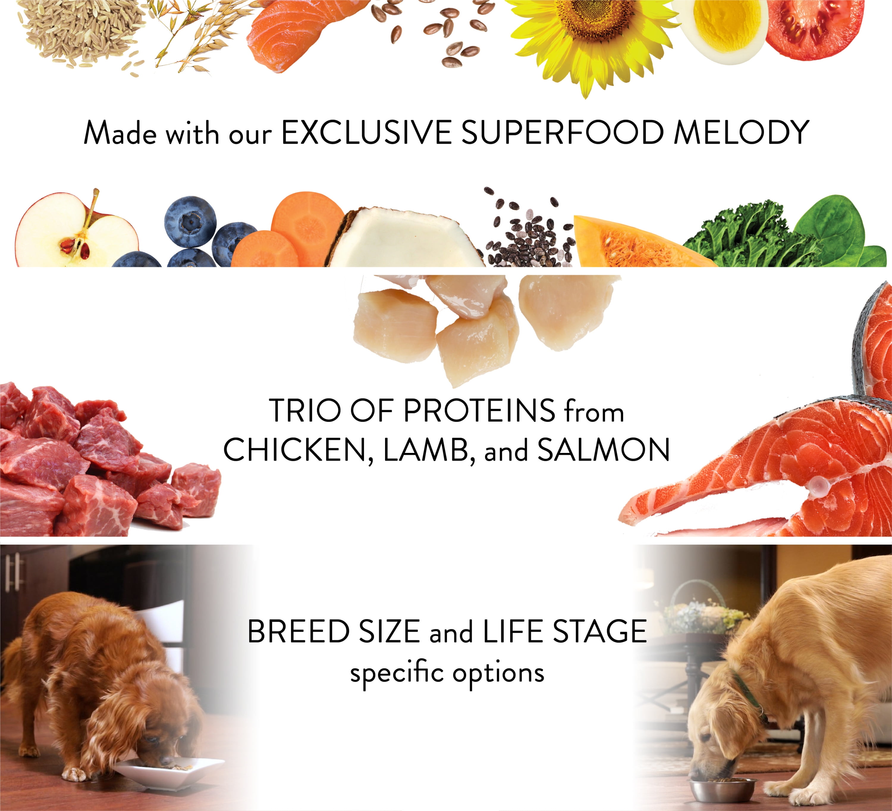 ultra dog food weight management