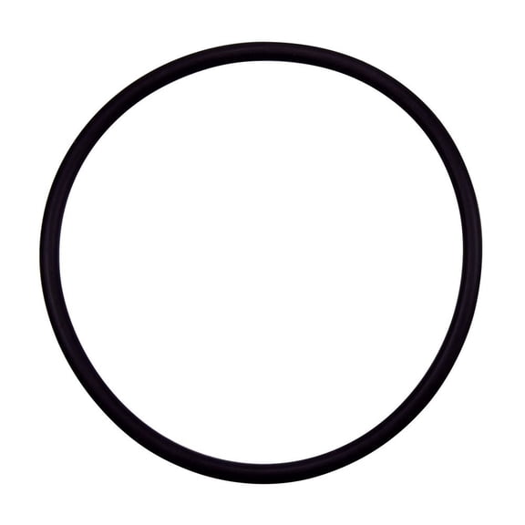 Pentair 355331 Diffuser O-Ring Replacement Specialty and Swimming Pool Inground Pump