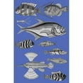 thumbnail image 3 of Renard, Louis 11x14 Black Modern Framed Museum Art Print Titled - Tropical Fish Collage 2-Blue Background, 3 of 5