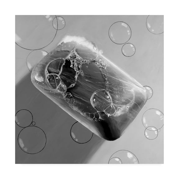 Trademark Fine Art 'Black & White Soap' Canvas Art by Roderick Stevens