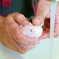 thumbnail image 2 of GoodEgg Full Eggcellent Kit - Deluxe Egg Washing Kit, 2 of 10