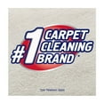 thumbnail image 5 of (2 pack) Resolve Carpet Stain Cleaner Solution and Odor Remover Spot Spray, 22 oz, 5 of 17