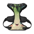 thumbnail image 5 of Lsque Adorable Kawaii Fennel Character Dog Harness, No-Pull Pet Harness with 2 Leash Clips, Adjustable Soft Padded Dog Vest with Easy Control Handle for Large Dogs-Large, 5 of 9