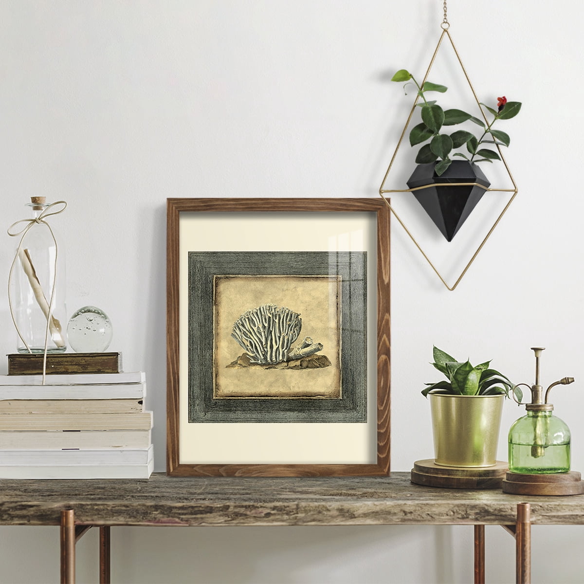 Mini Exotic Coral IX (U) - Framed Print w/glass - Walnut