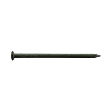 Pro-Fit 3 in. Common Bright Steel Nail Flat Head 5 lb