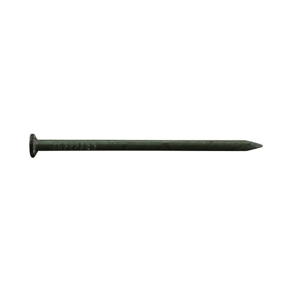 Pro-Fit 0053175 Interior Common Nail, 10D X 3 in L, 0.148 in Shank
