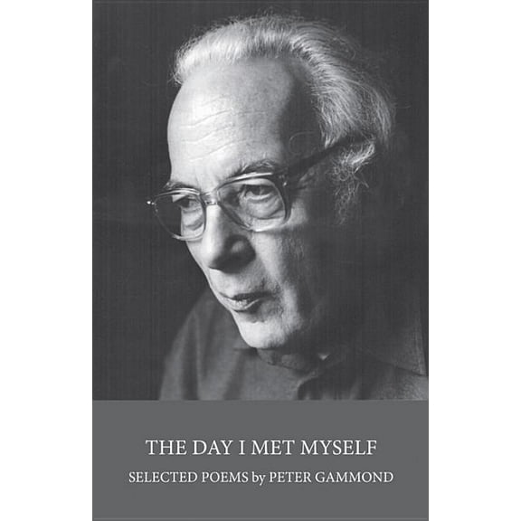 The Day I Met Myself (Paperback)